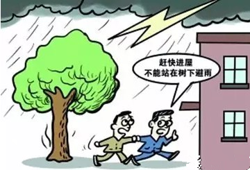 不要在大树下避雨