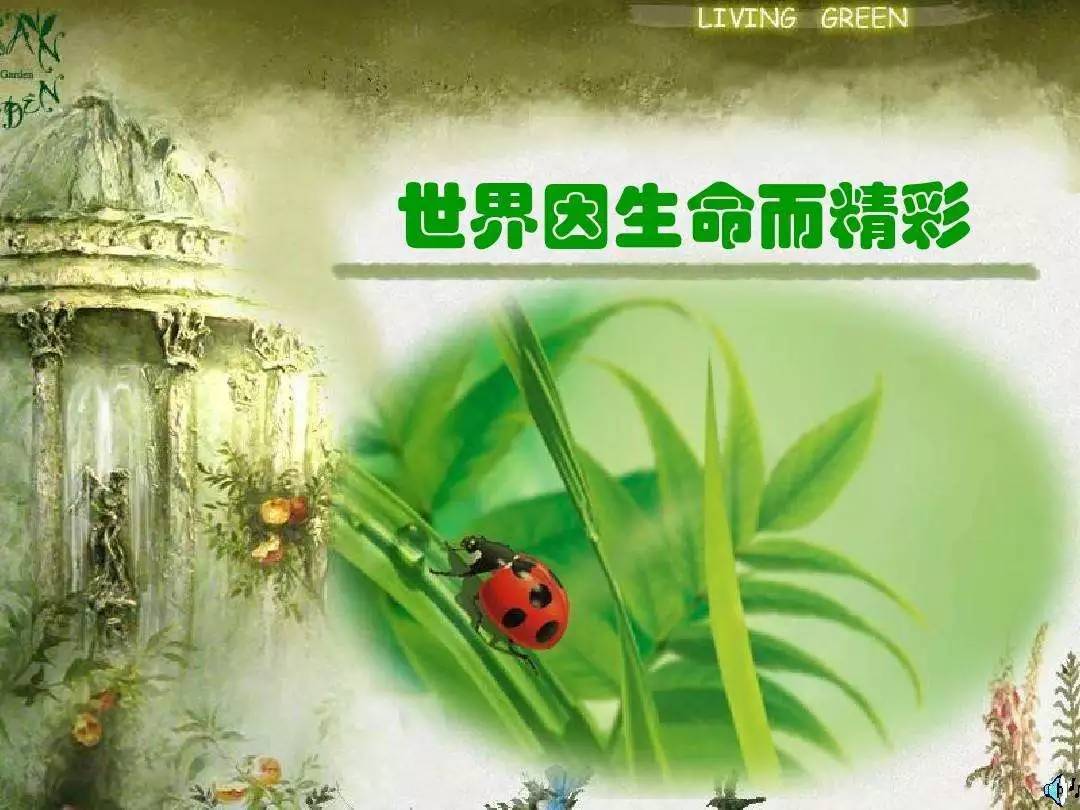 清明节,对孩子进行生命教育